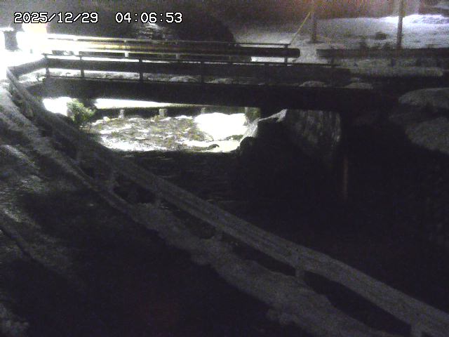 取得できませんでした