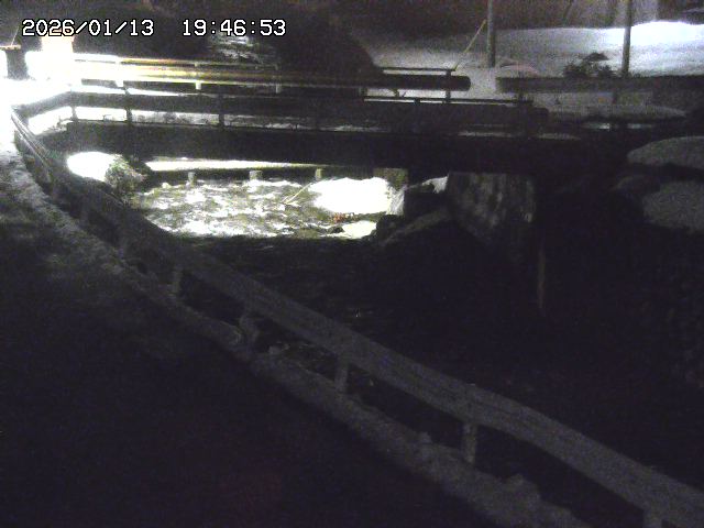 取得できませんでした