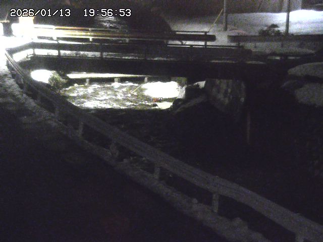 取得できませんでした