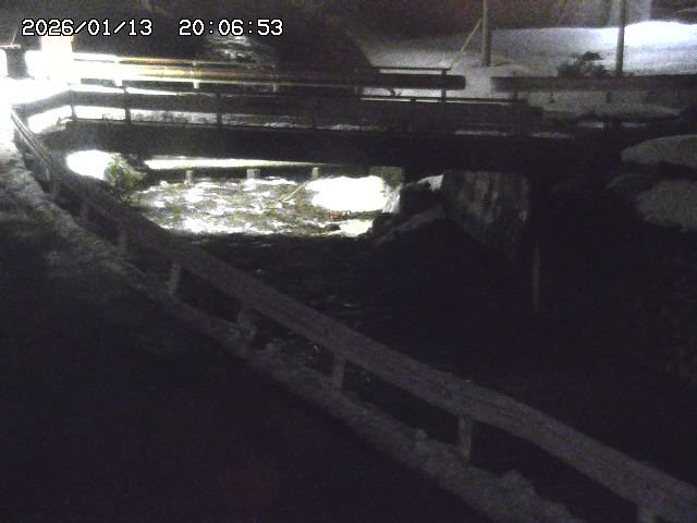 取得できませんでした