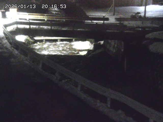 取得できませんでした