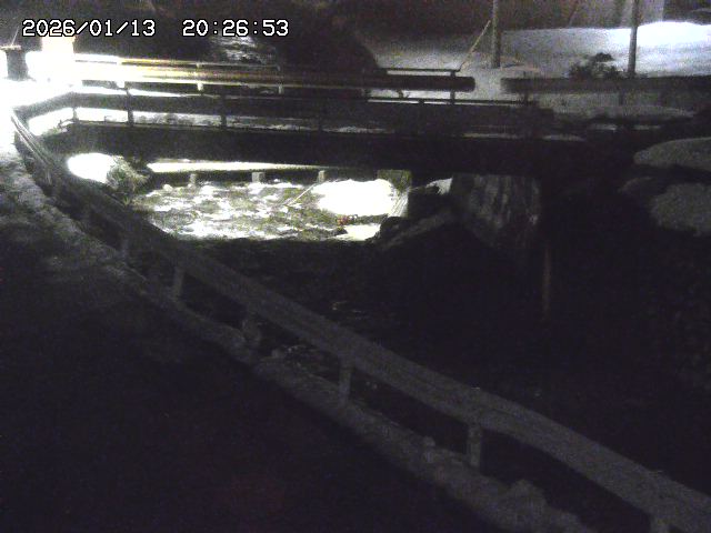 取得できませんでした