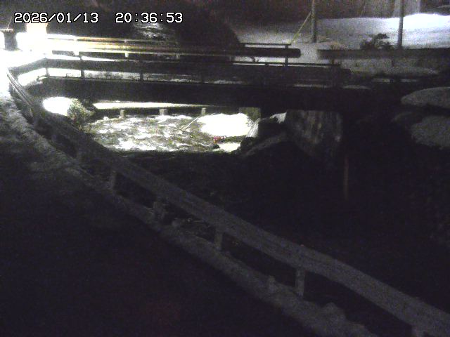 取得できませんでした