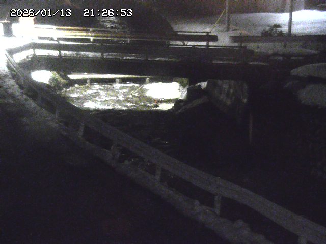 取得できませんでした