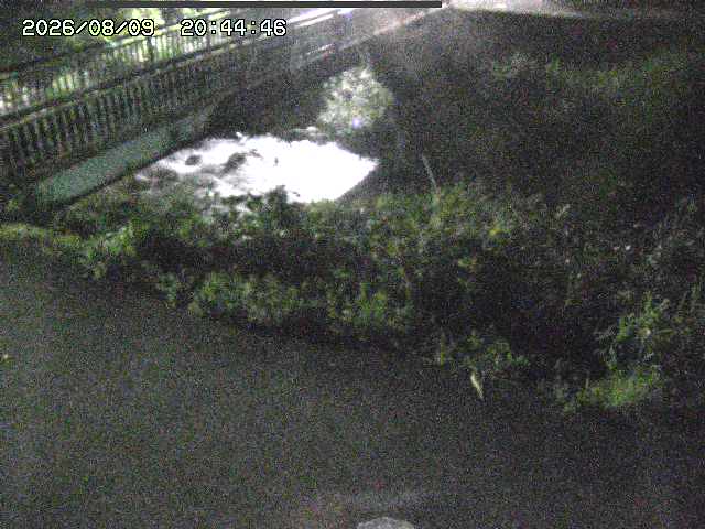 取得できませんでした