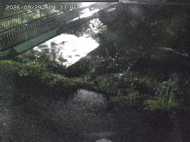 取得できませんでした