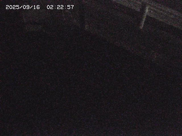 取得できませんでした