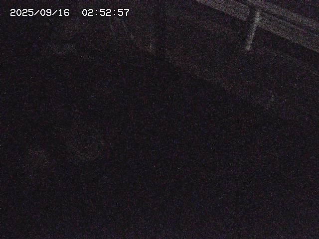 取得できませんでした