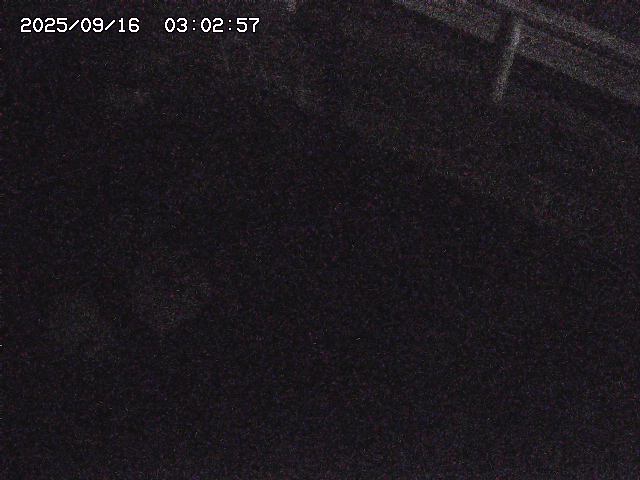 取得できませんでした