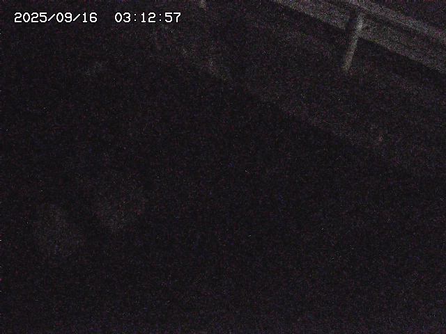取得できませんでした