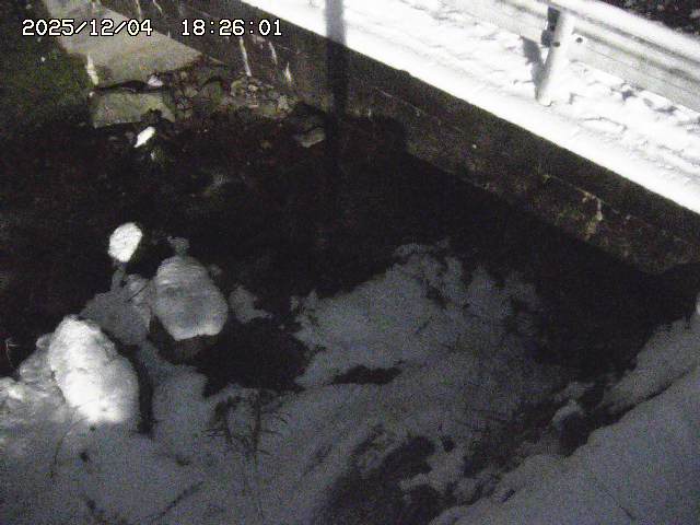 取得できませんでした