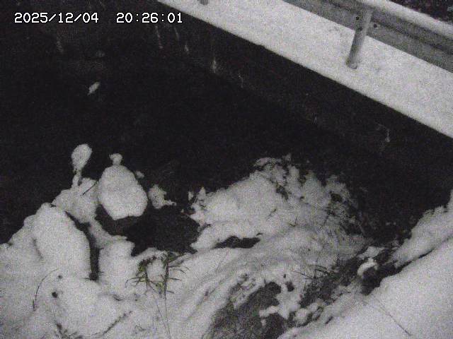 取得できませんでした