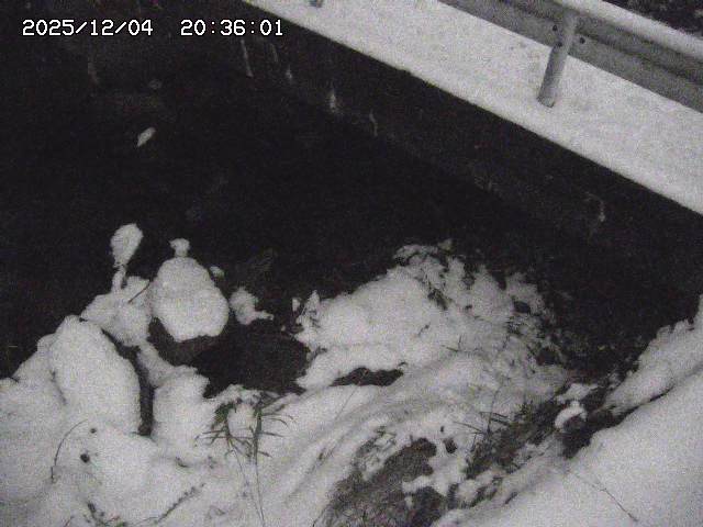 取得できませんでした