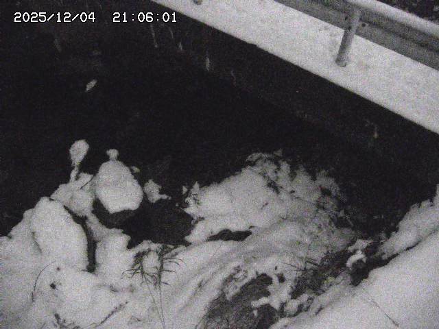 取得できませんでした