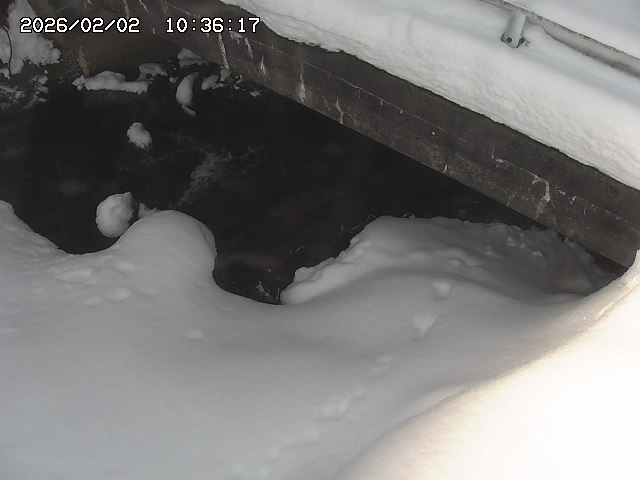 取得できませんでした