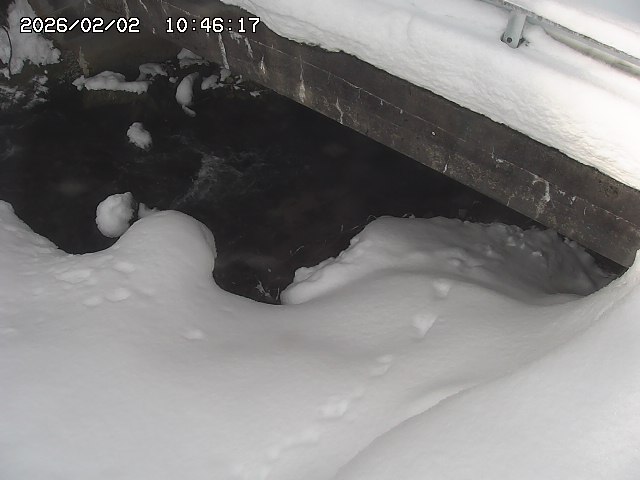 取得できませんでした