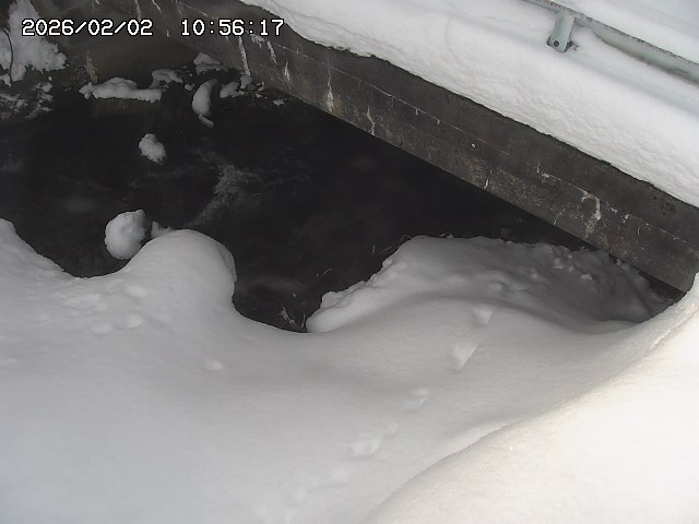 取得できませんでした