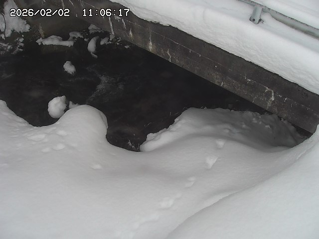 取得できませんでした