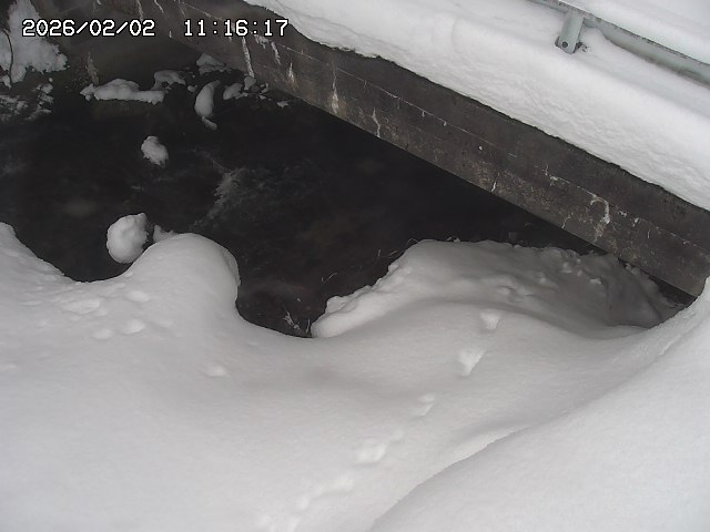 取得できませんでした