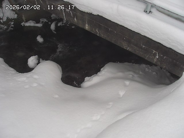 取得できませんでした