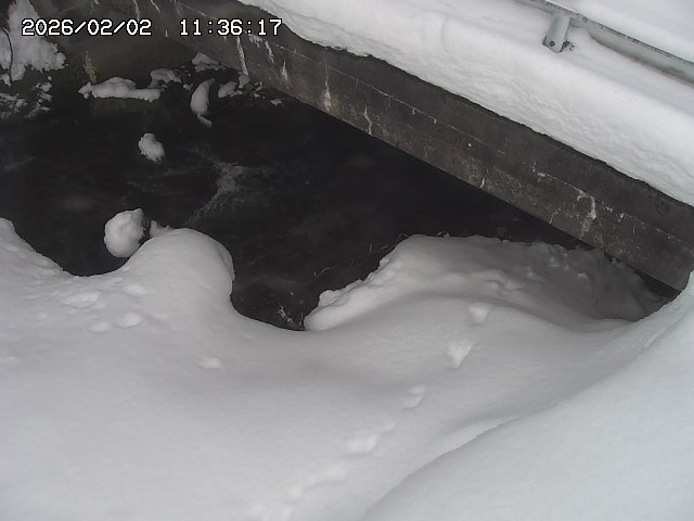 取得できませんでした