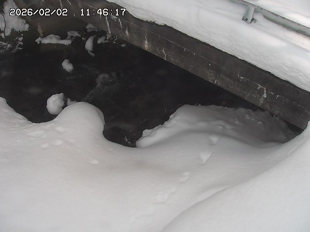 取得できませんでした