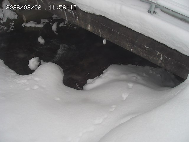 取得できませんでした