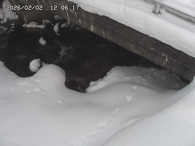 取得できませんでした