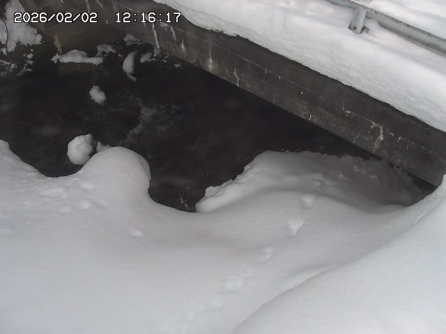 取得できませんでした