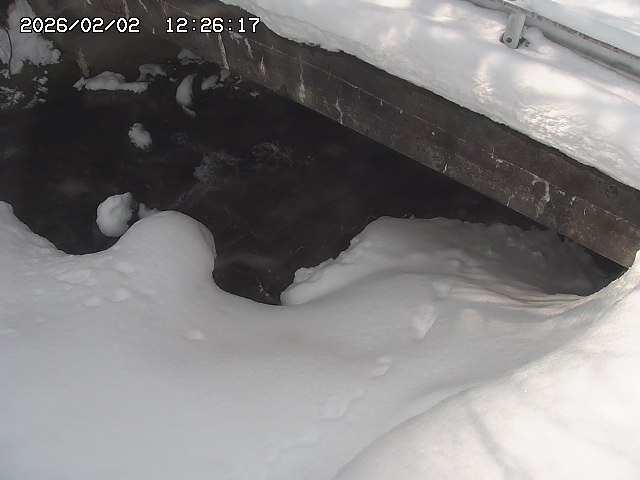 取得できませんでした