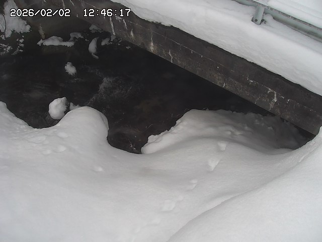 取得できませんでした