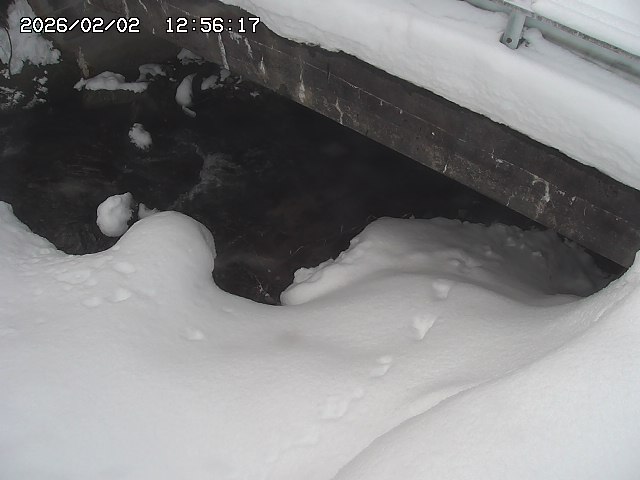 取得できませんでした