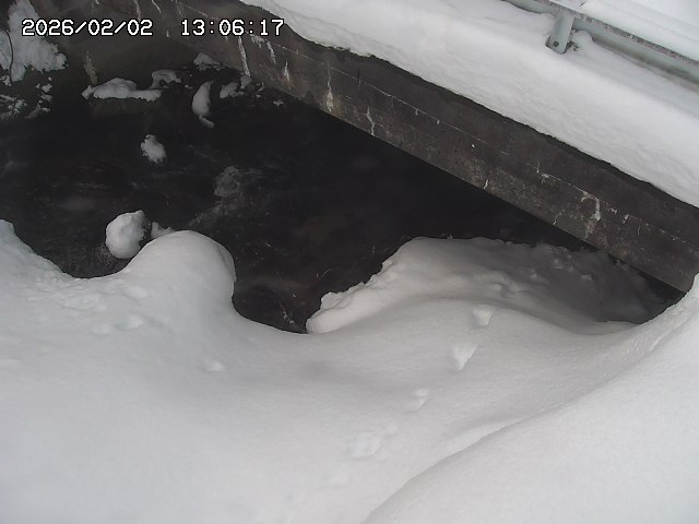 取得できませんでした