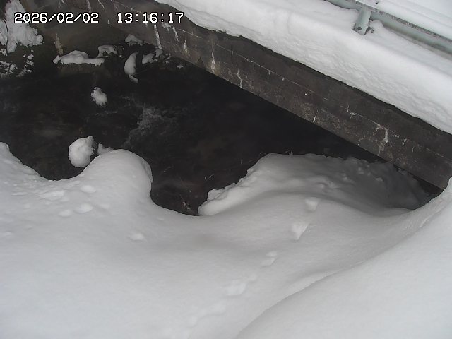 取得できませんでした