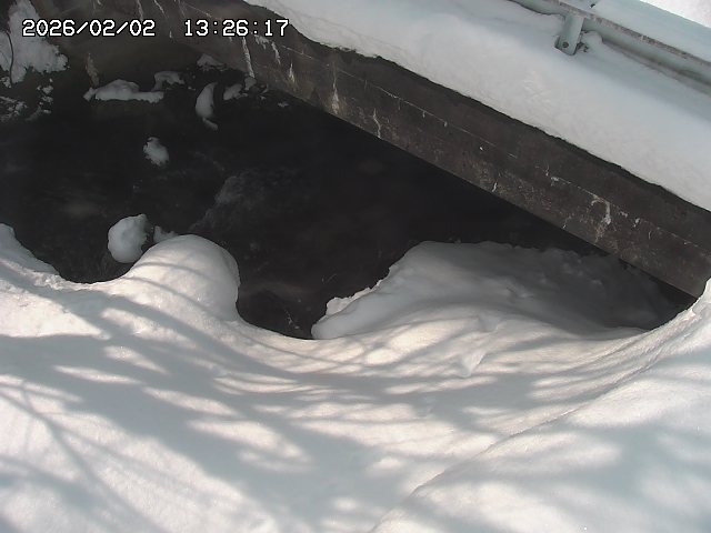 取得できませんでした