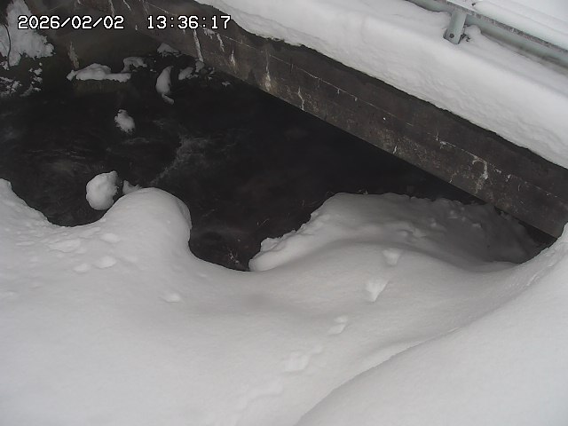 取得できませんでした