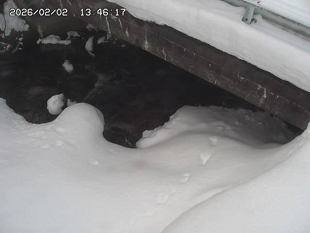 取得できませんでした