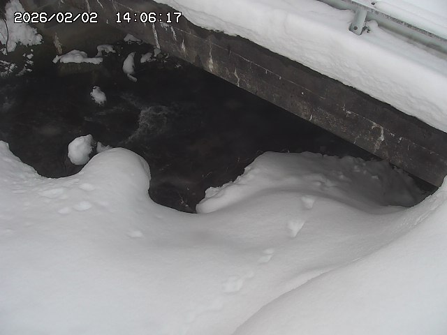 取得できませんでした