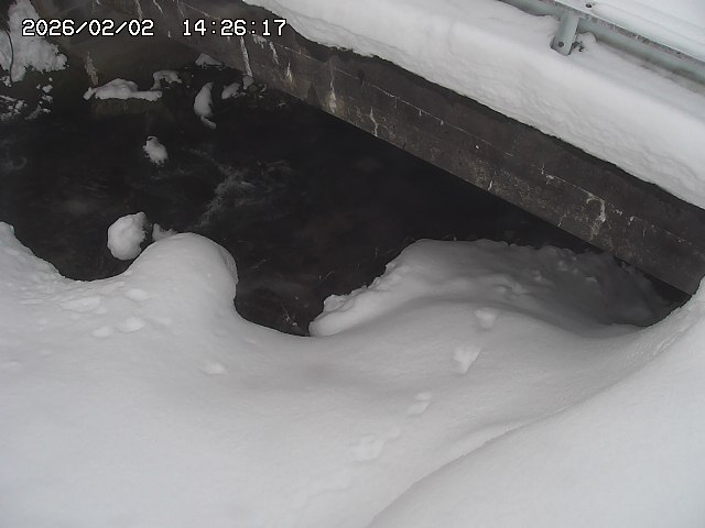 取得できませんでした