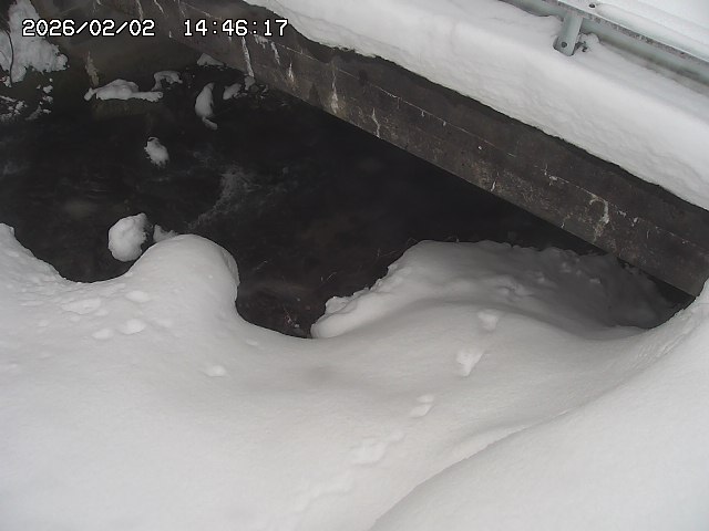 取得できませんでした