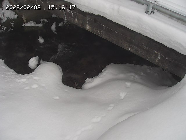 取得できませんでした