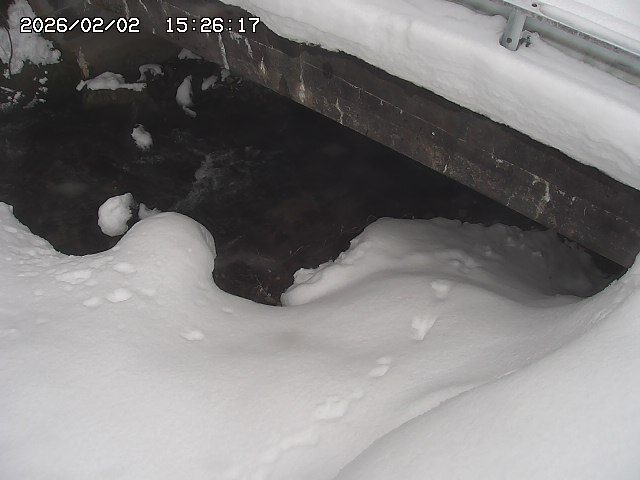 取得できませんでした