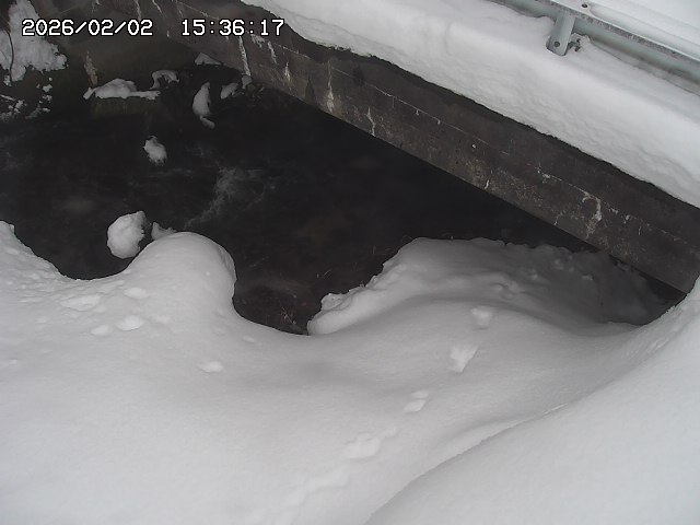 取得できませんでした