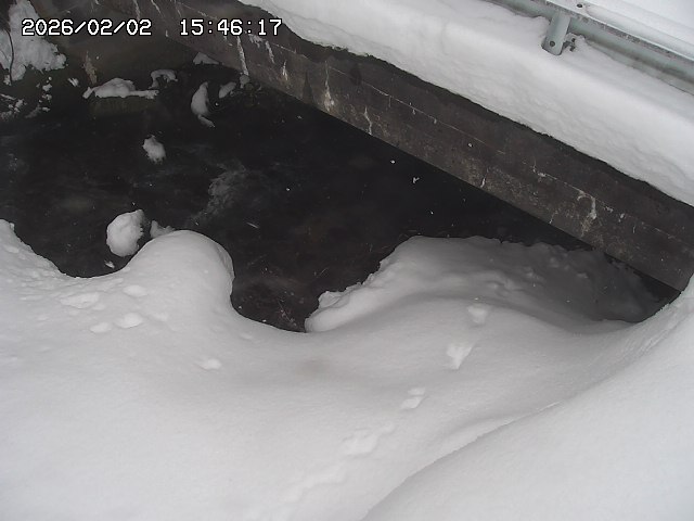 取得できませんでした