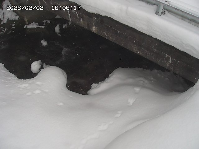 取得できませんでした