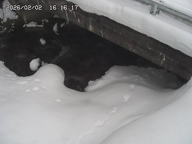 取得できませんでした