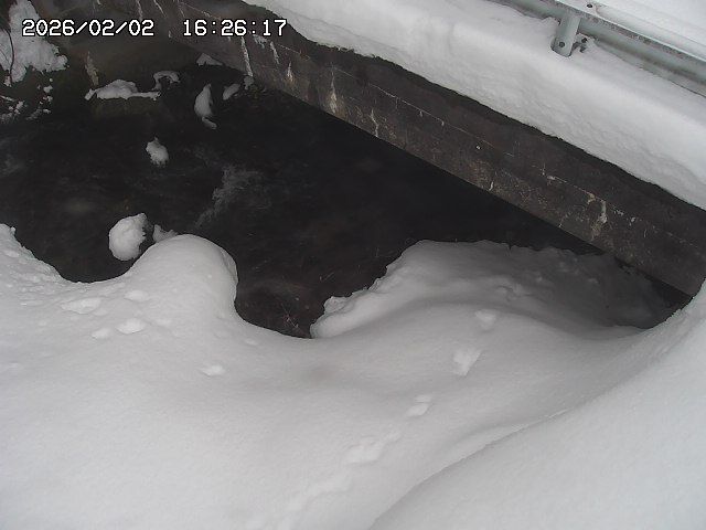 取得できませんでした