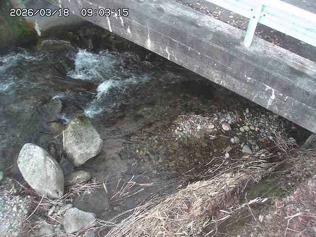 取得できませんでした