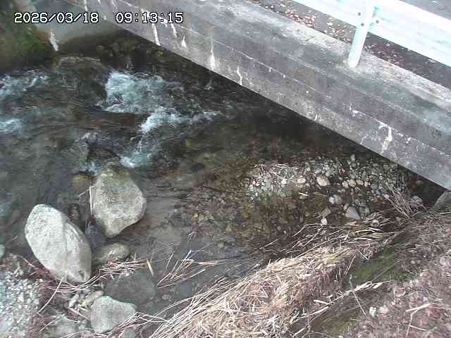 取得できませんでした