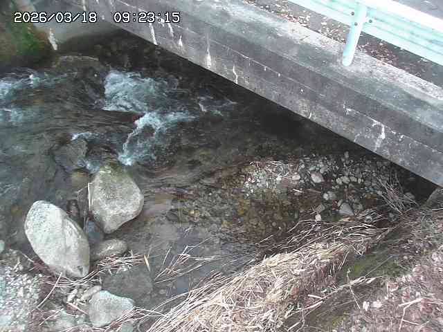 取得できませんでした